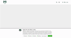 Desktop Screenshot of mion.com